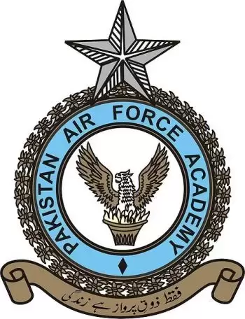 巴基斯坦军队各类标识：空军（1）